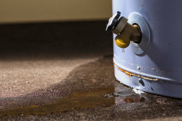 Best Basement water damage restoration  in Dover, FL