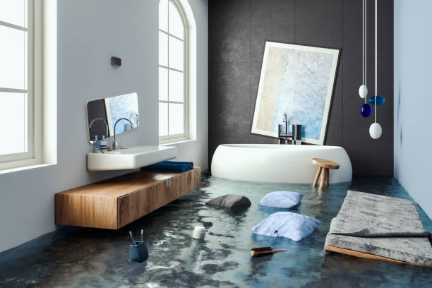 Best Professional water damage repair  in Dover, FL