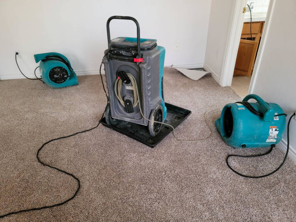Best Flooded house restoration  in Dover, FL