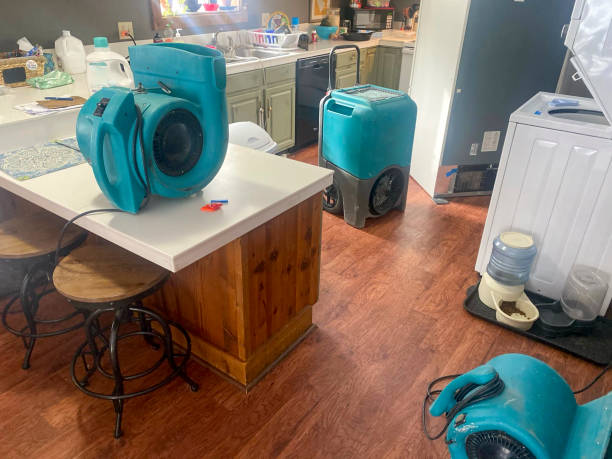 Best Professional water damage repair  in Dover, FL