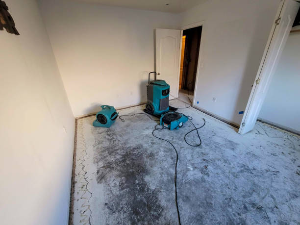 Best Sewage cleanup and water damage restoration  in Dover, FL