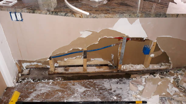 Best Water damage cleanup near me  in Dover, FL