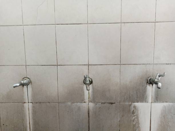 Best Water damage cleanup near me  in Dover, FL