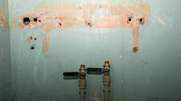 Best Carpet water damage restoration  in Dover, FL