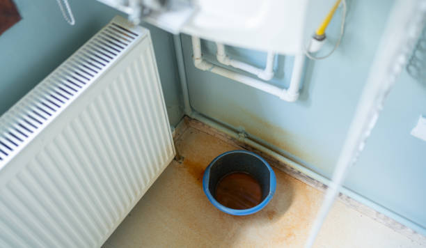 Best Fire Damage Restoration  in Dover, FL
