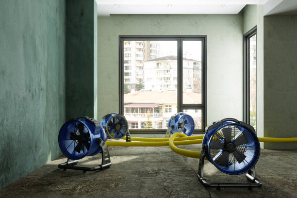 Best Water damage restoration near me  in Dover, FL