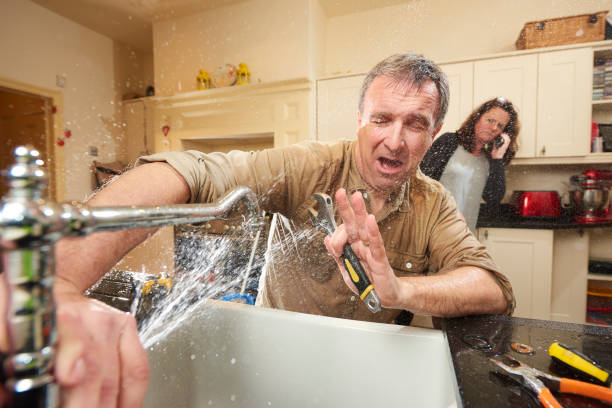  Dover, FL Water damage restoration Pros